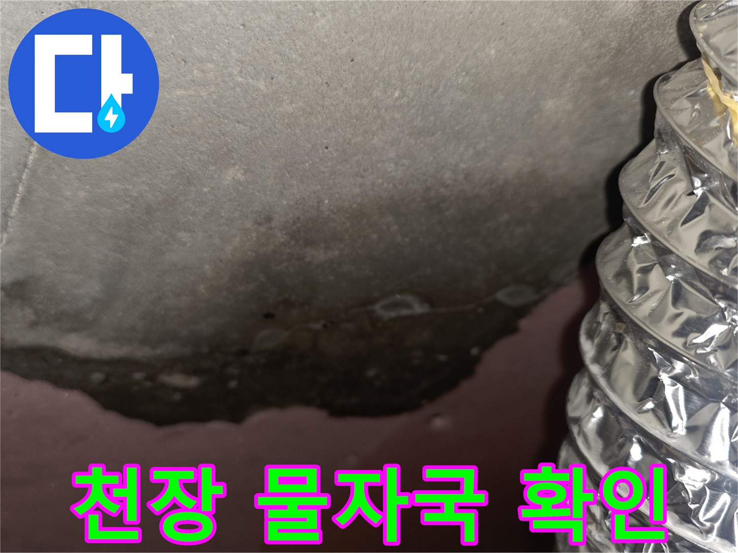 천장-슬라브-면의-누수-물자국과-곰팡이-흔적