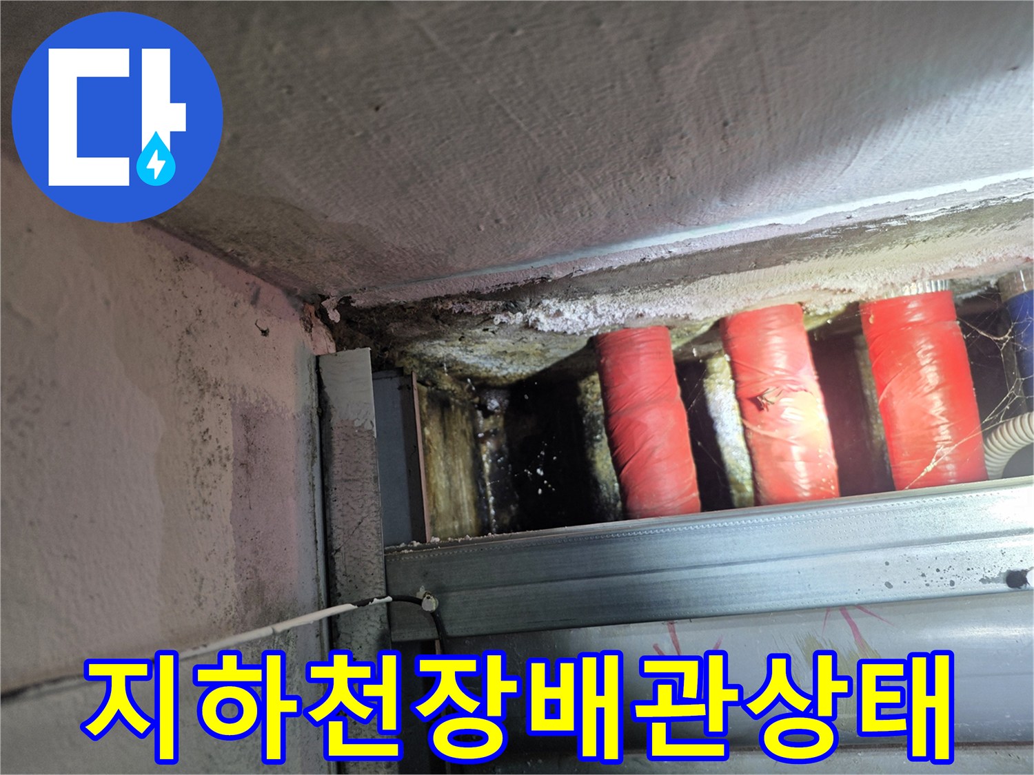 양천구 식당-지하 천장 배관 주변의 습윤 상태 확인