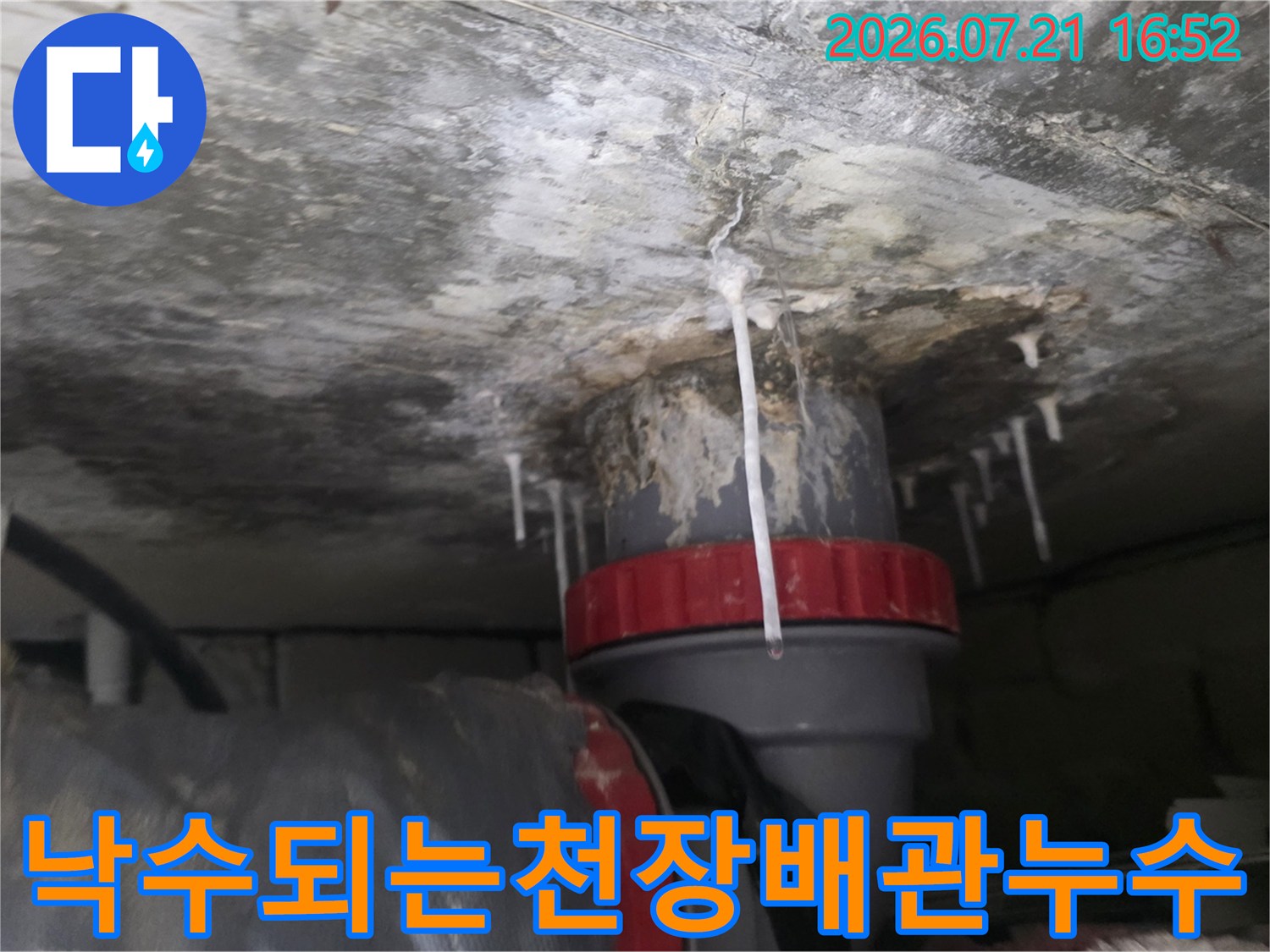배관 연결 부위에서 떨어지는 물방울과 백화 현상이 발생한 천장 모습