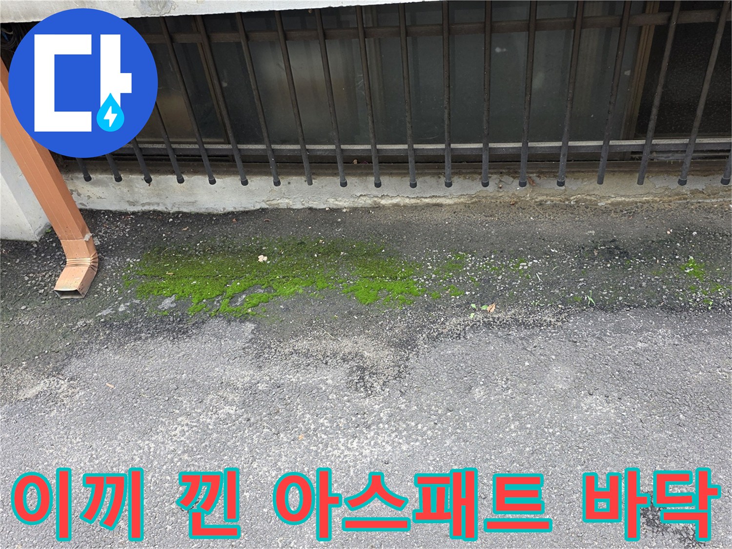 물 고임으로 인해 이끼가 자라난 아스팔트 지면