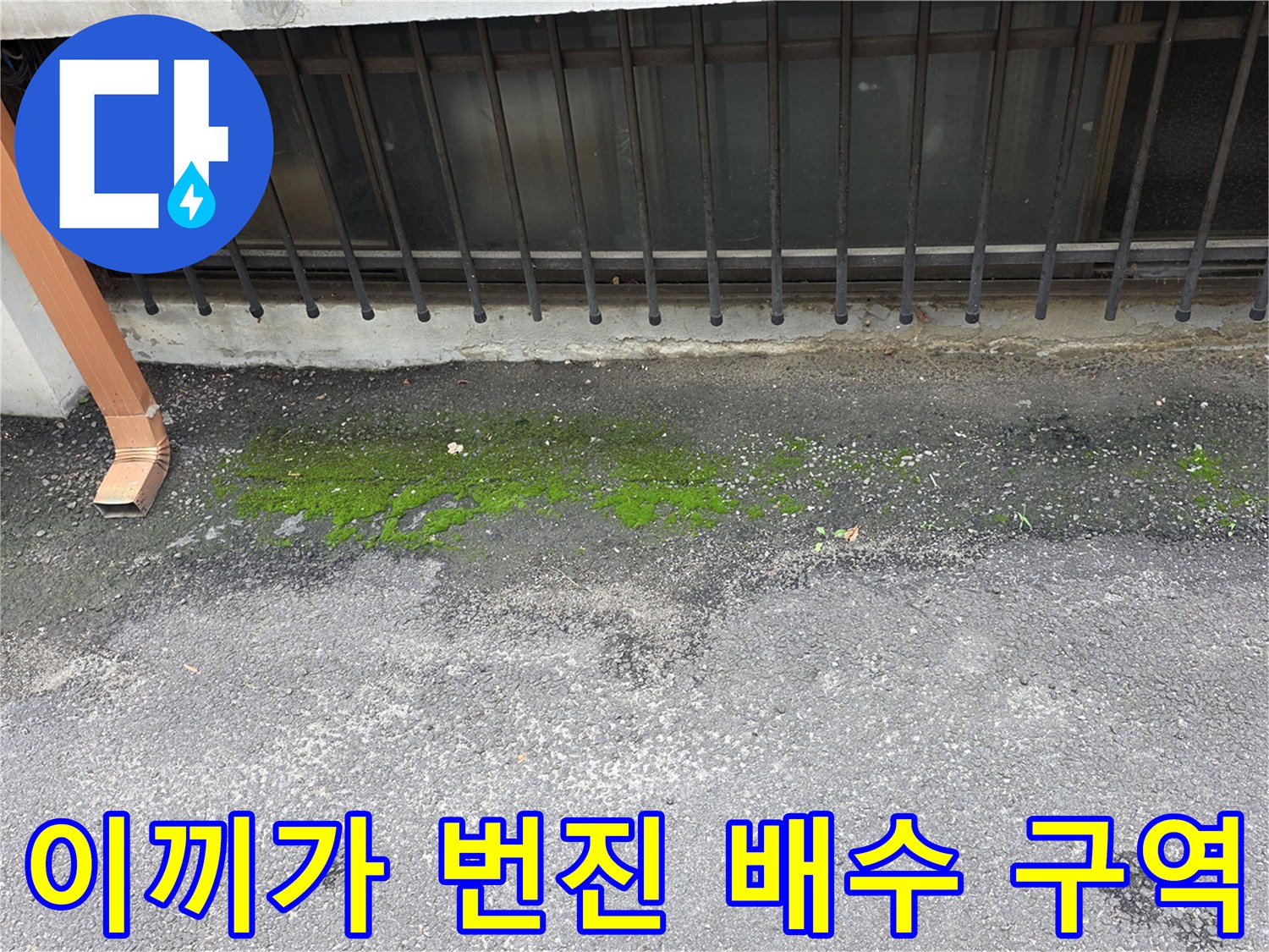배관 하부-습기로 인한 이끼 발생 부위