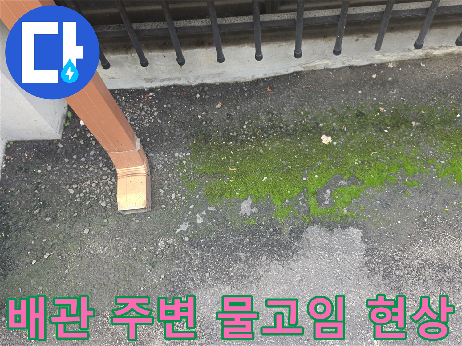 외부 배수관-지면 습윤 상태 확인
