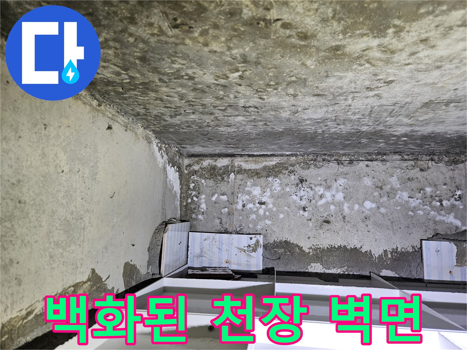 물샘으로 인해 하얗게 일어난 화장실 천장 콘크리트 면