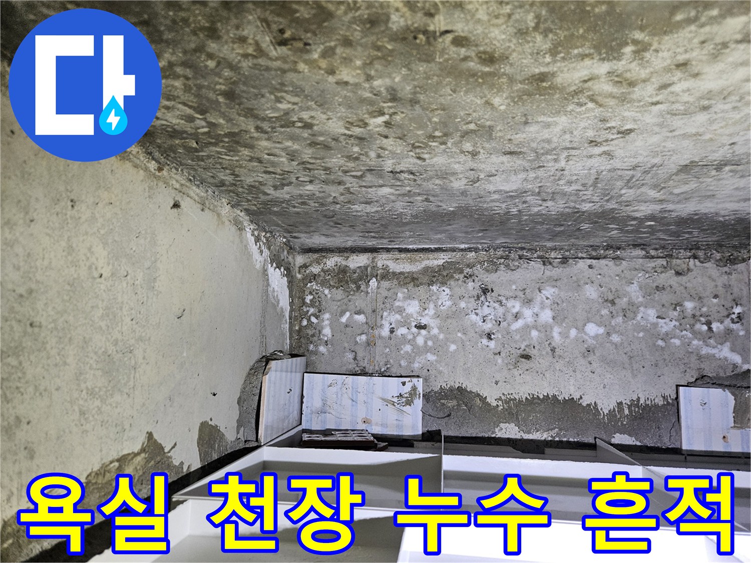 습기로 인해 변색되고 백화가 진행된 화장실 천장 콘크리트 부위