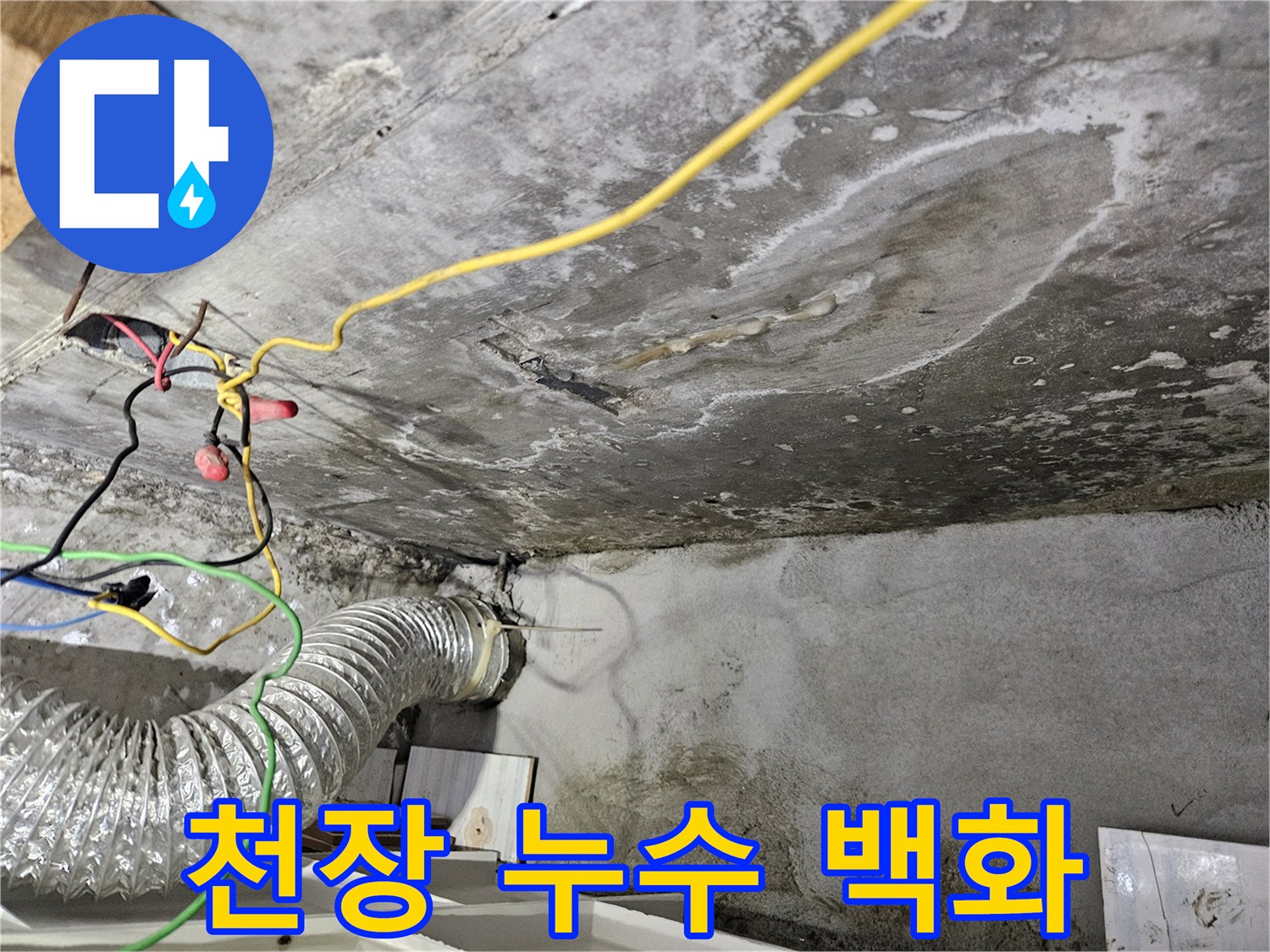 습기를 머금은 천장 콘크리트와 하얀 백화 자국
