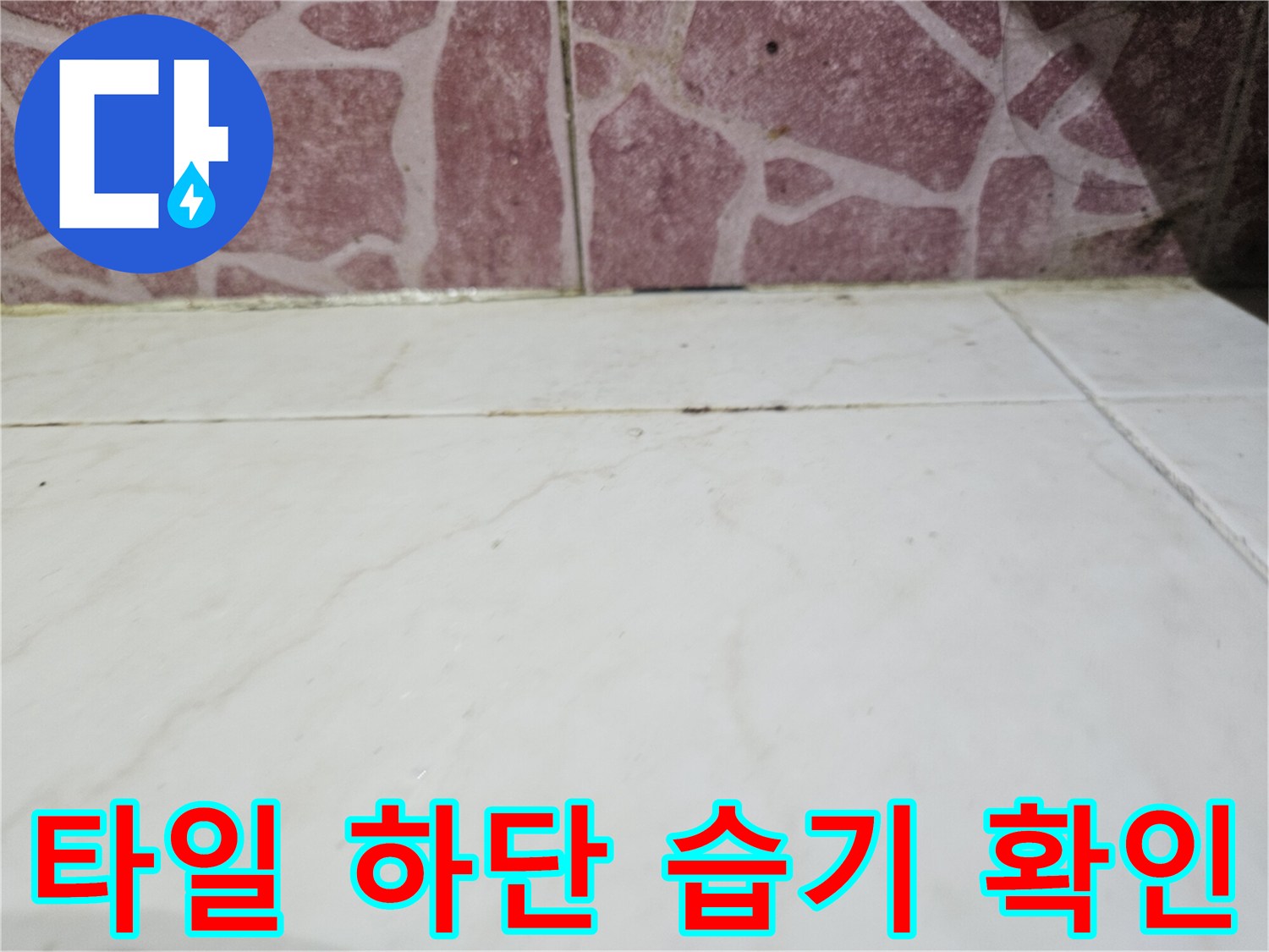 다용도실 벽면 타일 줄눈 부위의 습윤한 상태를 보여주는 사진
