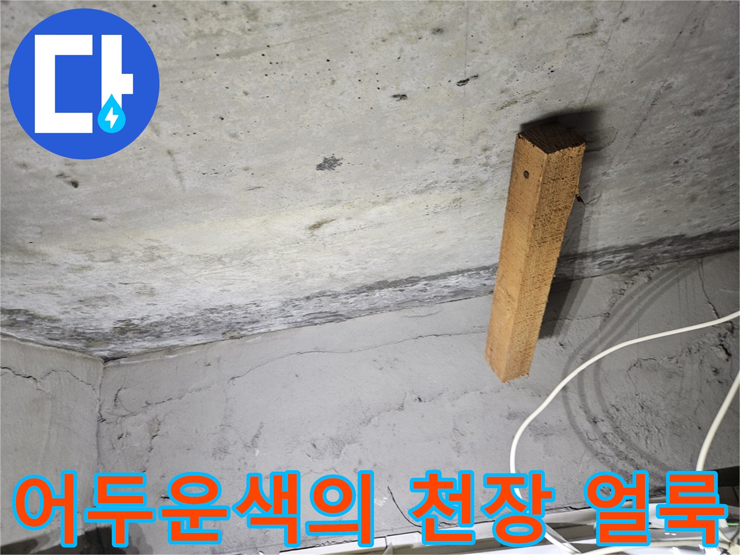 습기로 인해-어둡게 변한 천장 콘크리트 면적