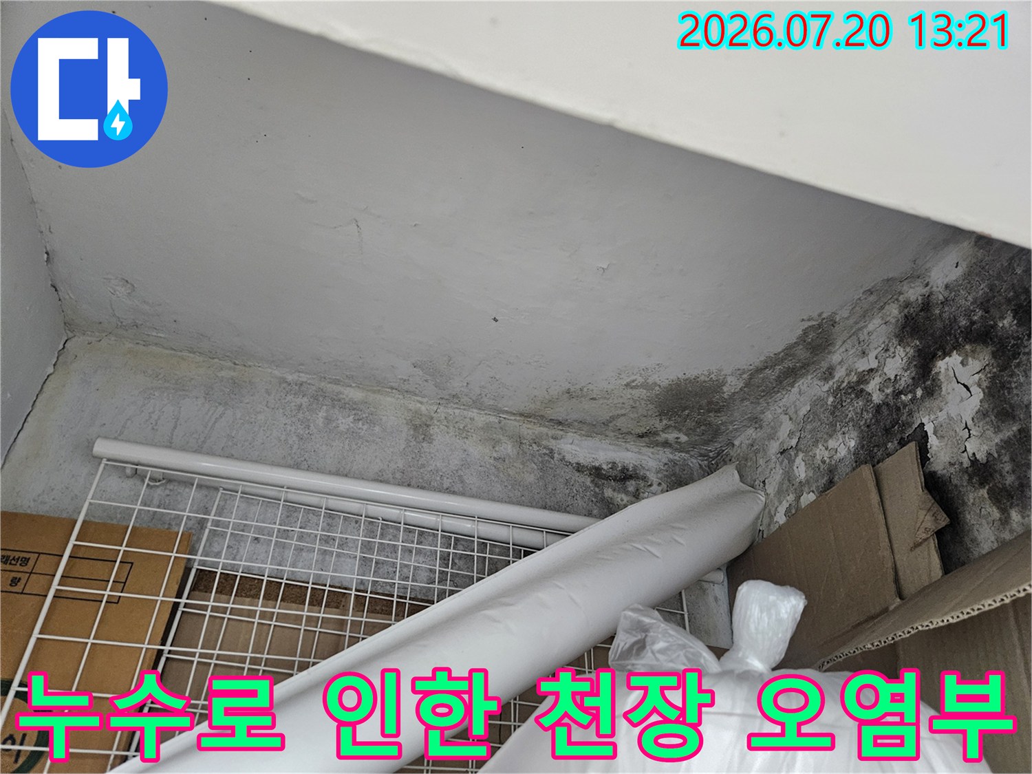 어두운 곰팡이와 물때로 얼룩진 천장 배관 주변 모습