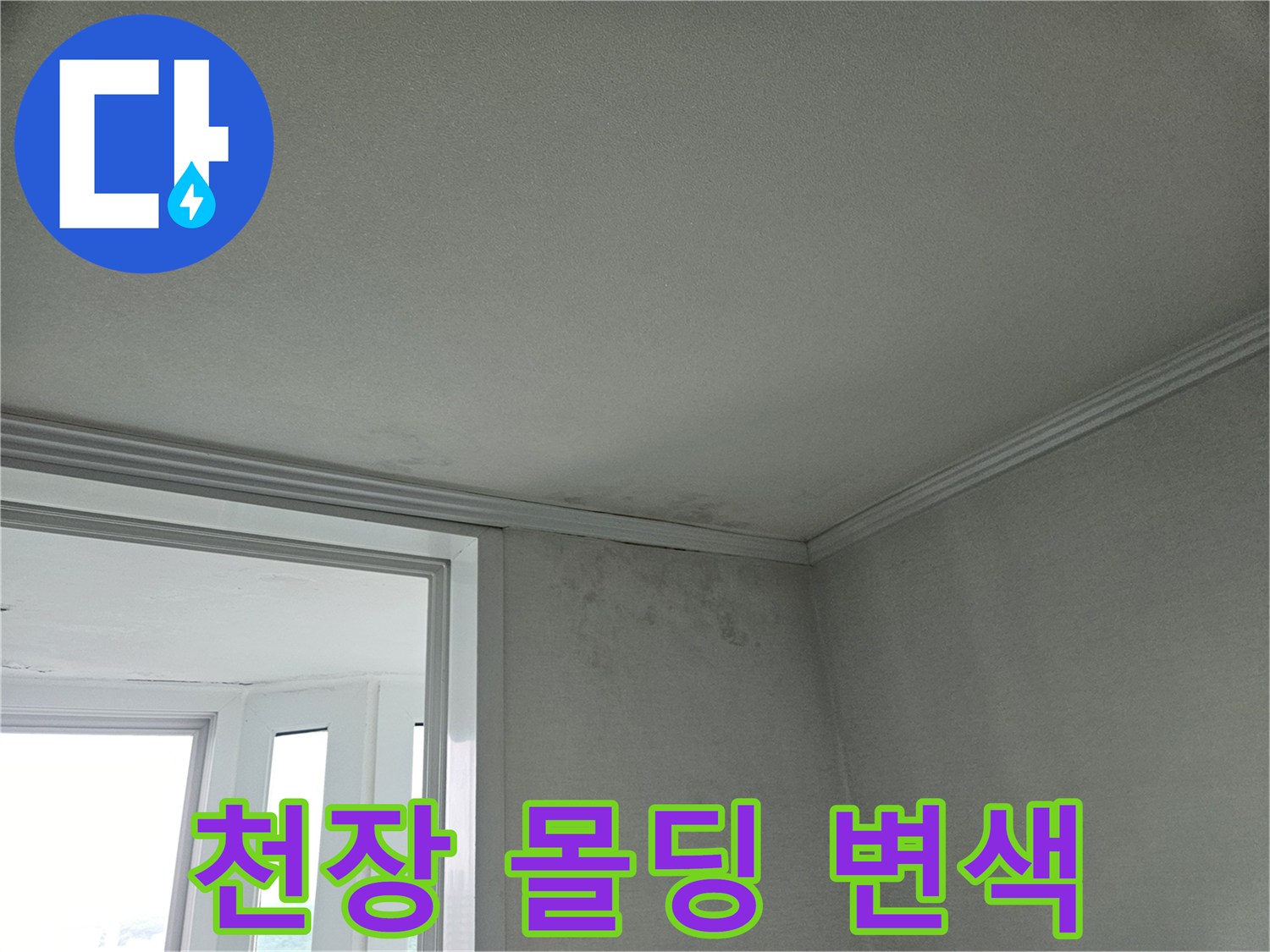 천장-몰딩-주변-습기로-인한-어두운-얼룩