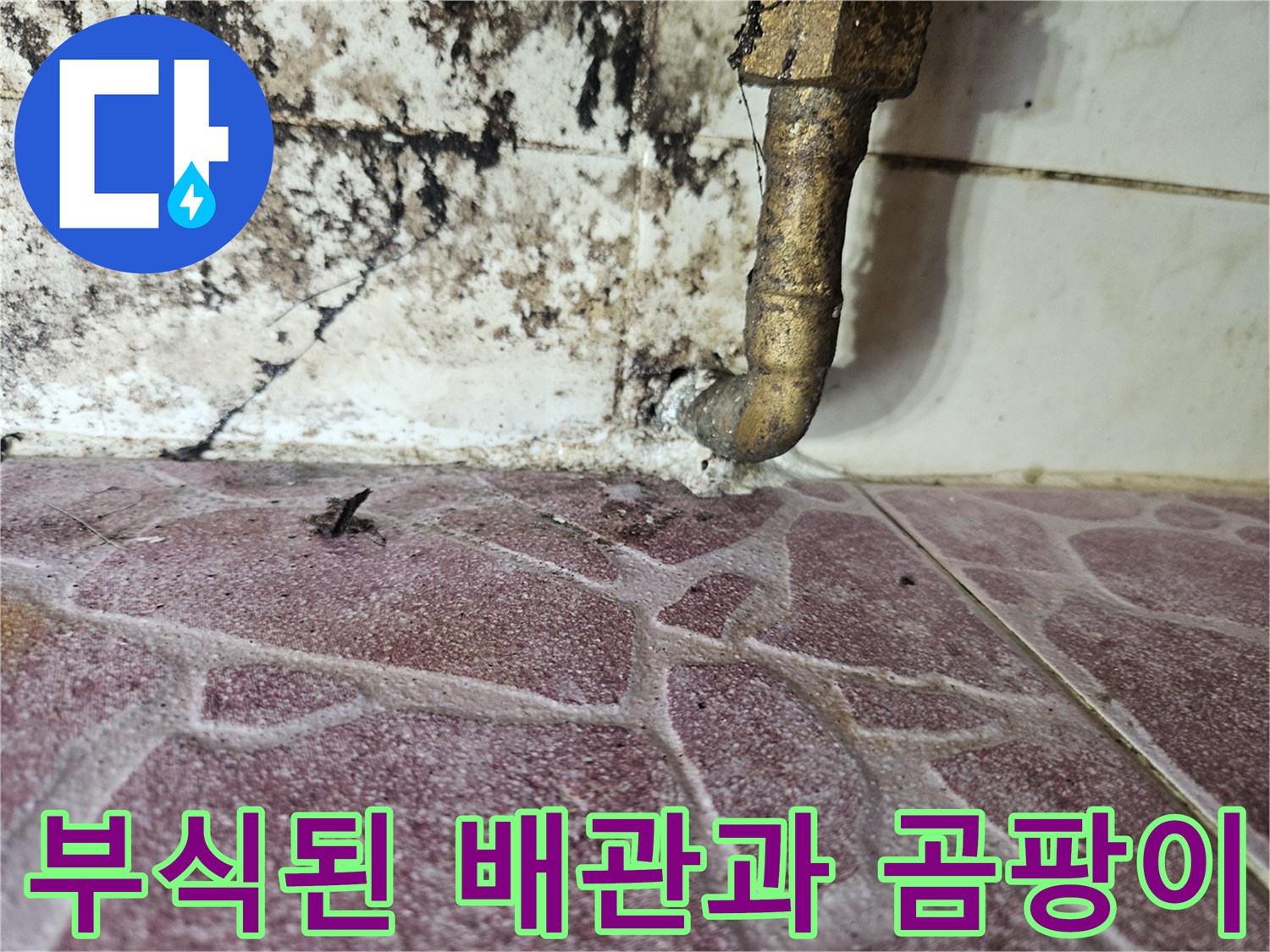 하수관-연결 부위의 노후화와 벽면 곰팡이 발생 상태