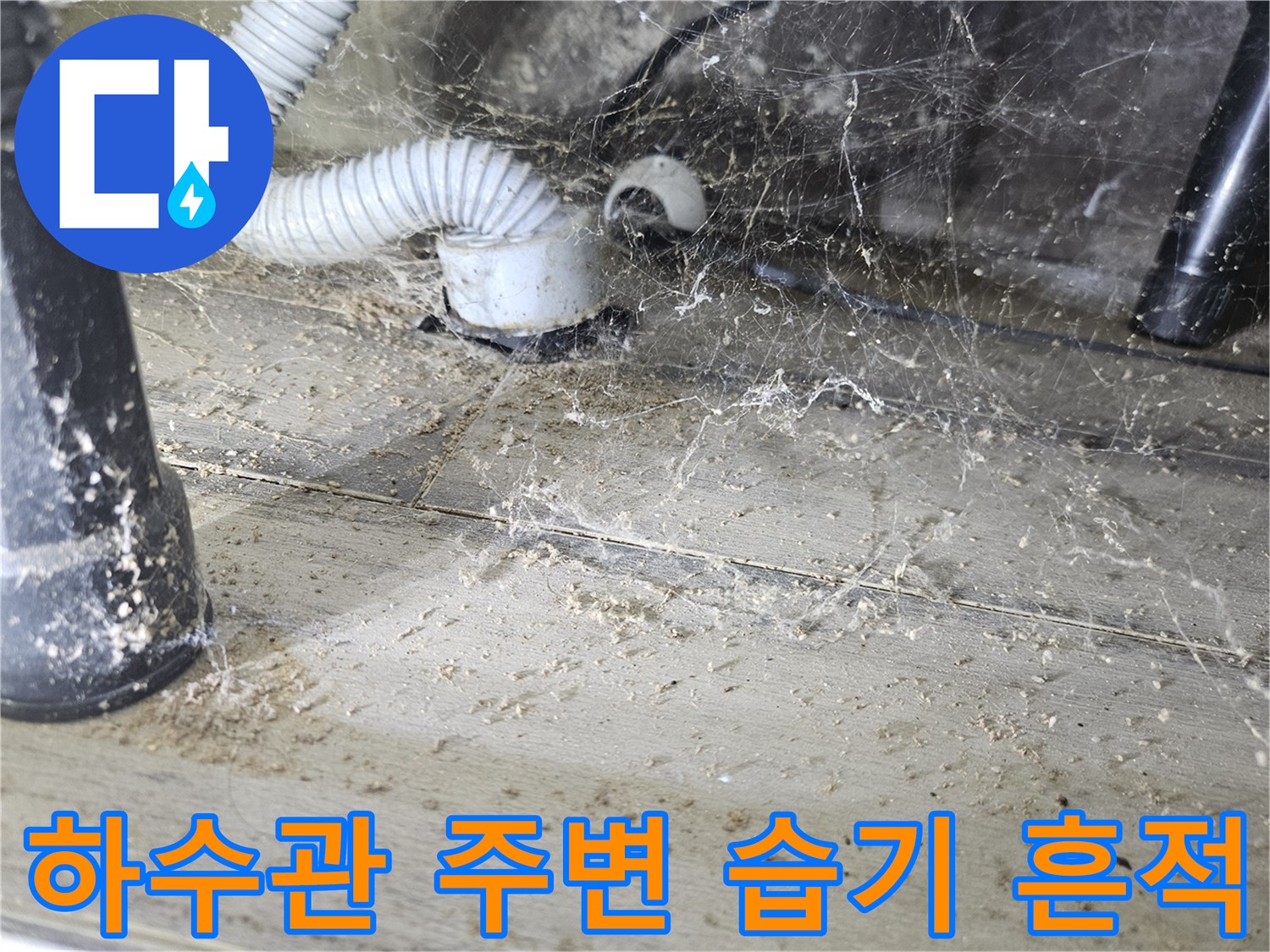 하수관 연결 부위의 눅눅한 바닥면과 오염된 상태를 나타냄