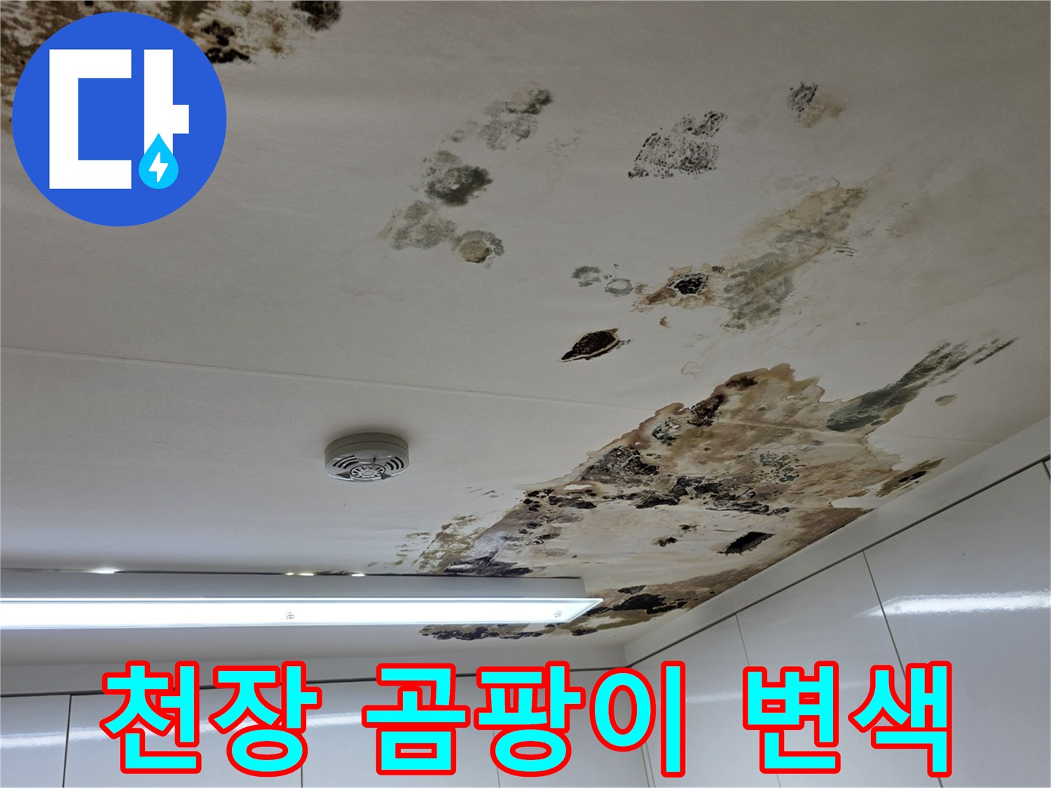 물샘-현상으로-인해-변색된-천장-벽지-모습
