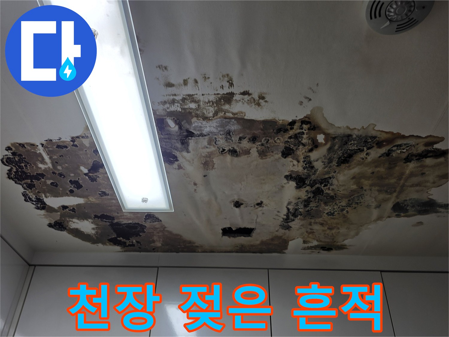 심하게 변색된 천장 마감재와 곰팡이 발생 부위