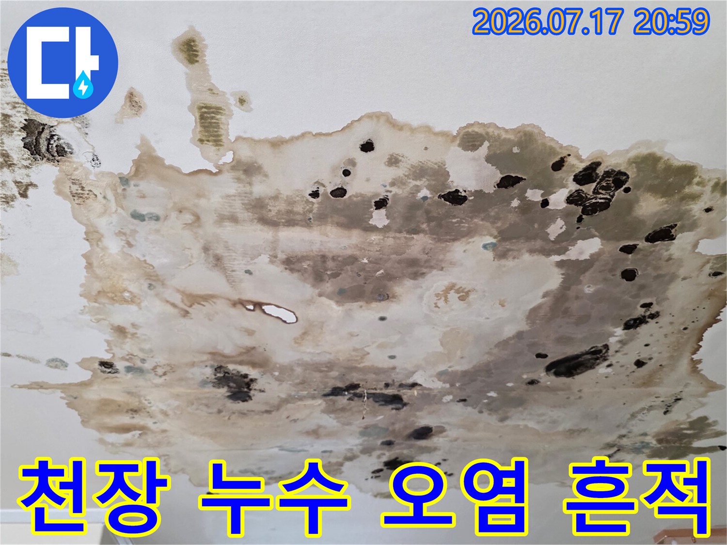 윗집 배관 문제로 인해 아랫층 천장에 발생한 거대한 얼룩과 곰팡이 자국