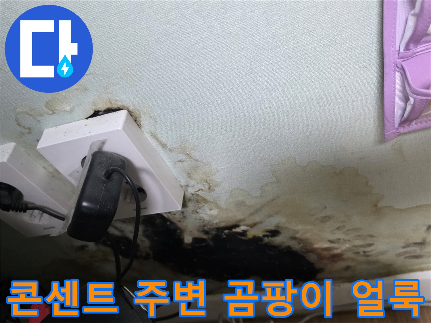 벽면 콘센트 하단에 발생한 검은색 곰패와 습기 흔적
