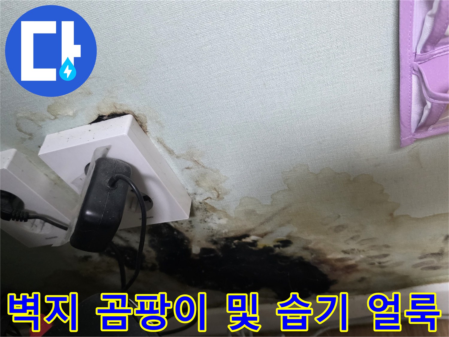 심하게 오염된 벽면 하단부의 젖은 흔적과 곰팡이