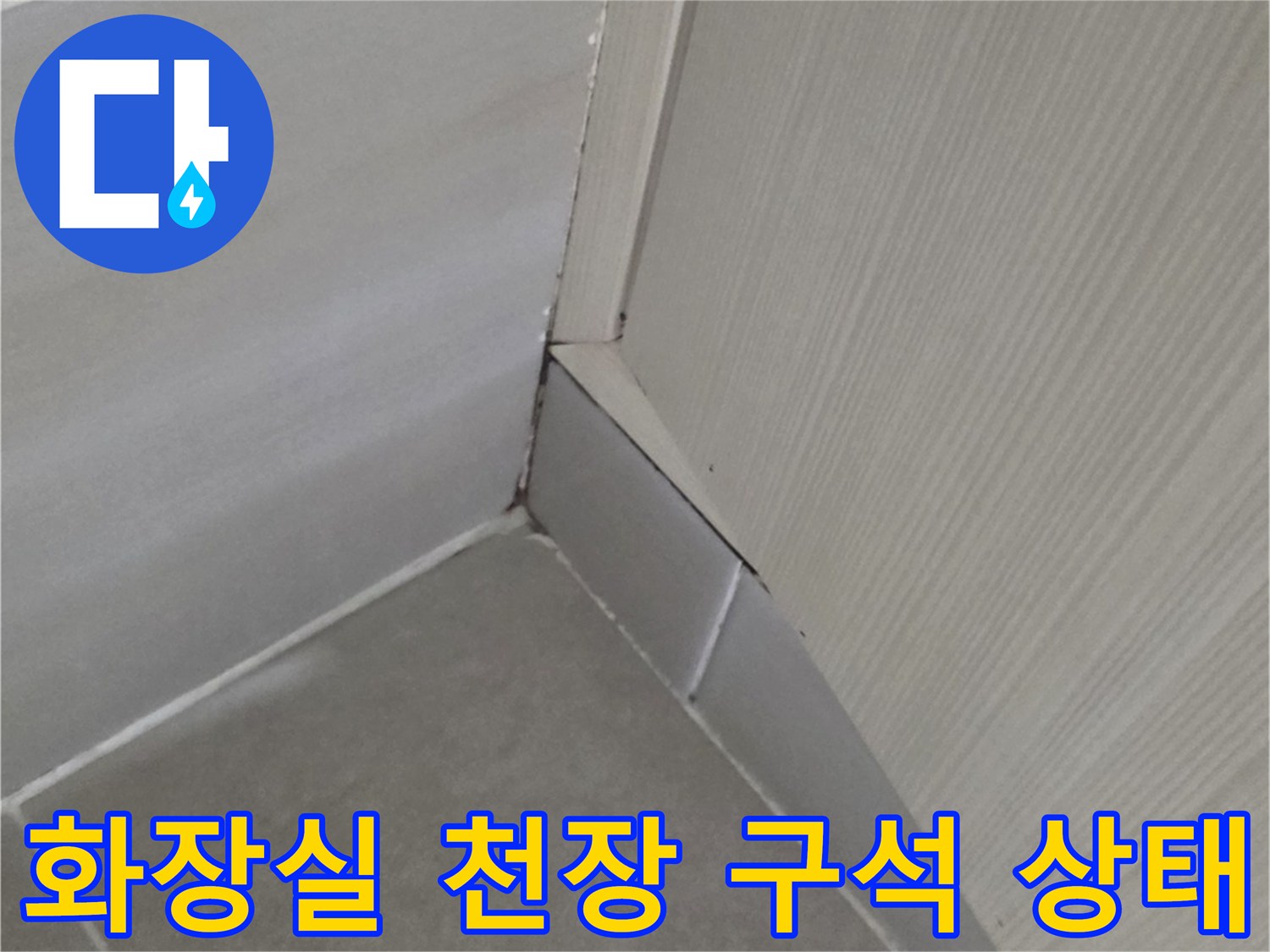 덕양구-화장실-천장-모서리-배관-부근-습기-상태