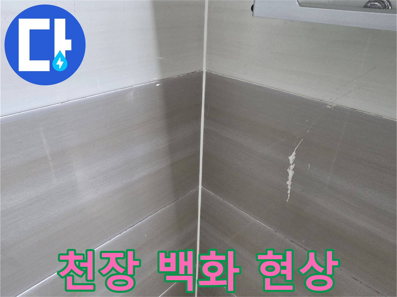 덕양구-화장실-천장-석회물이-맺힌-백화현상-사진