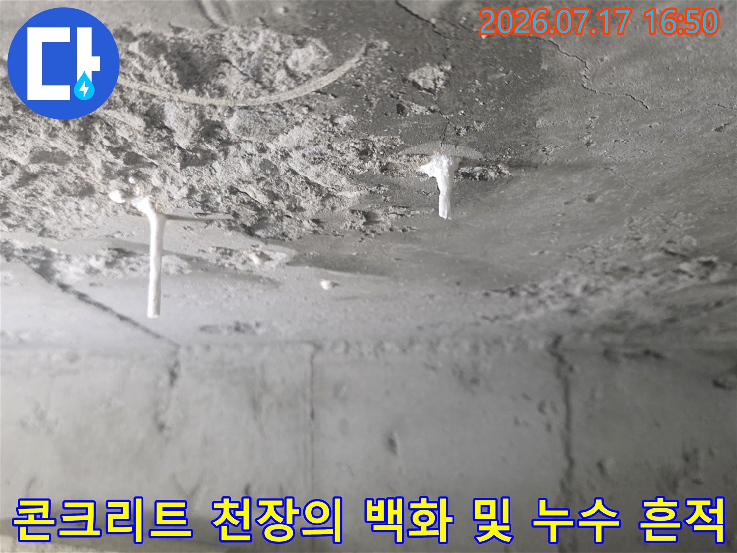 배관 주변 콘크리트 표면에 하얀색 석회질의 백화 현상이 뚜렷하게 나타난 천장 모습