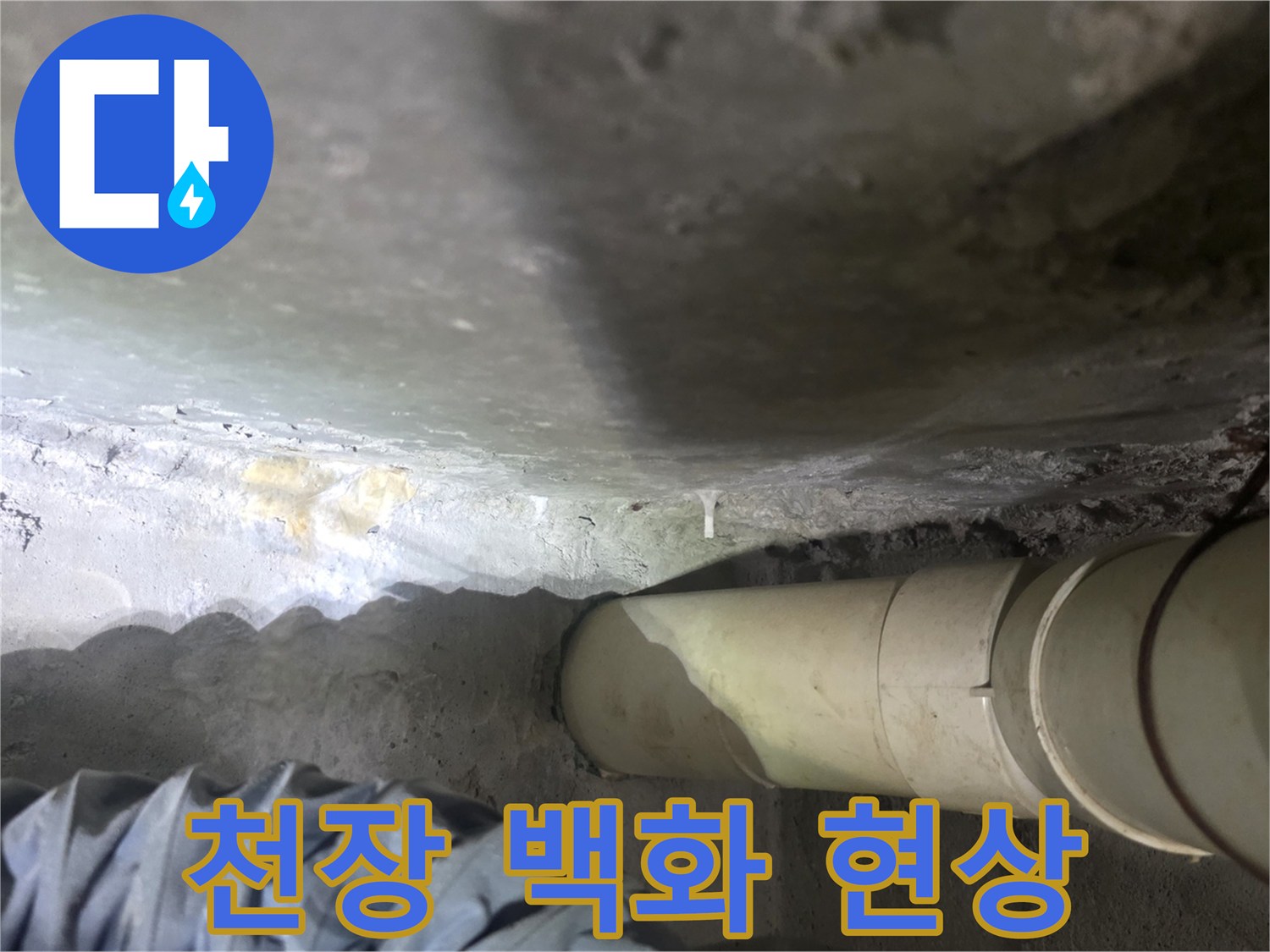 아랫집-화장실-천장-슬라브-백화현상-및-배관-상태