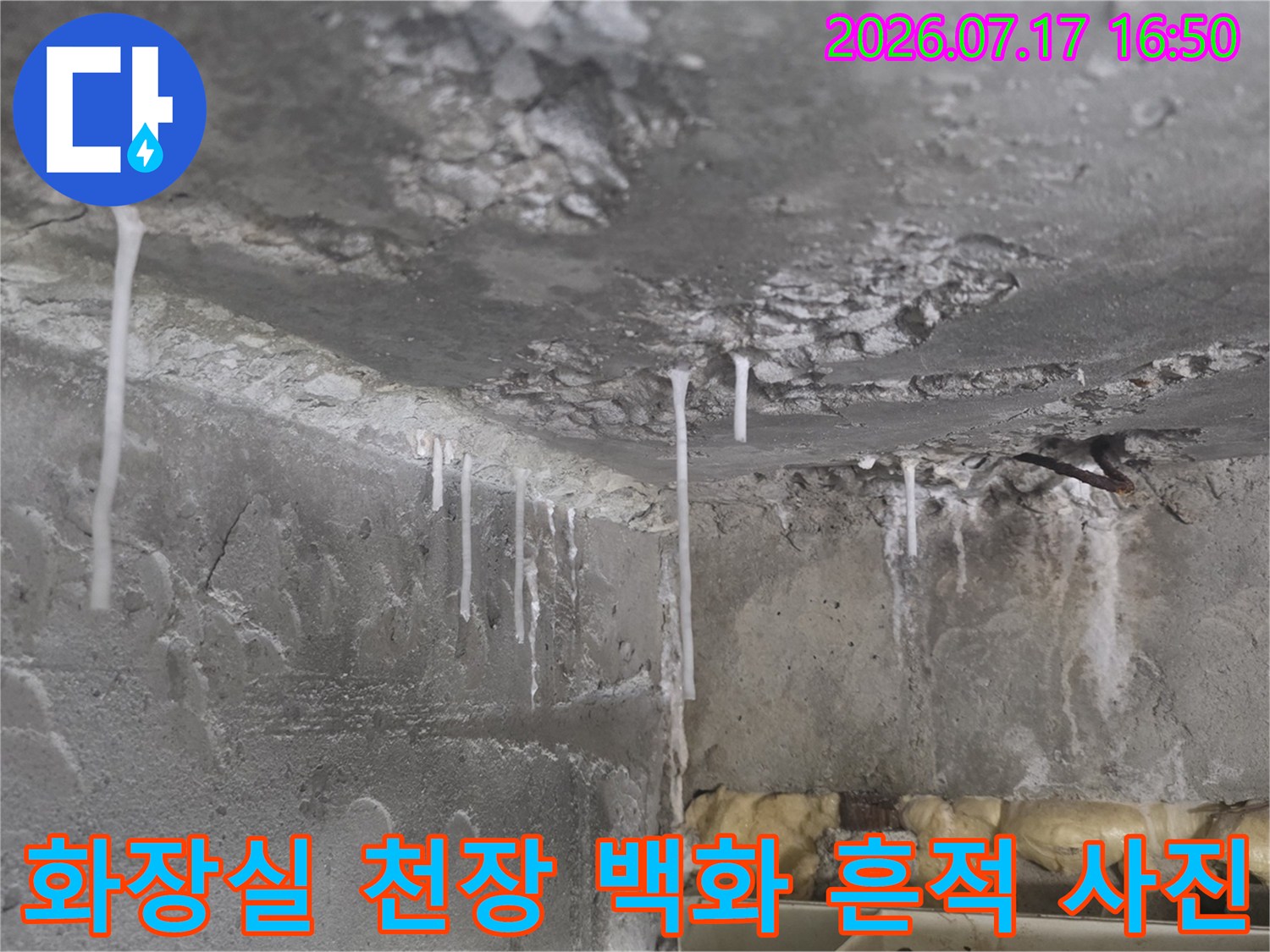 아랫집 화장실 천장 콘크리트 면에 발생한 하얀색 석회질 누수 자국
