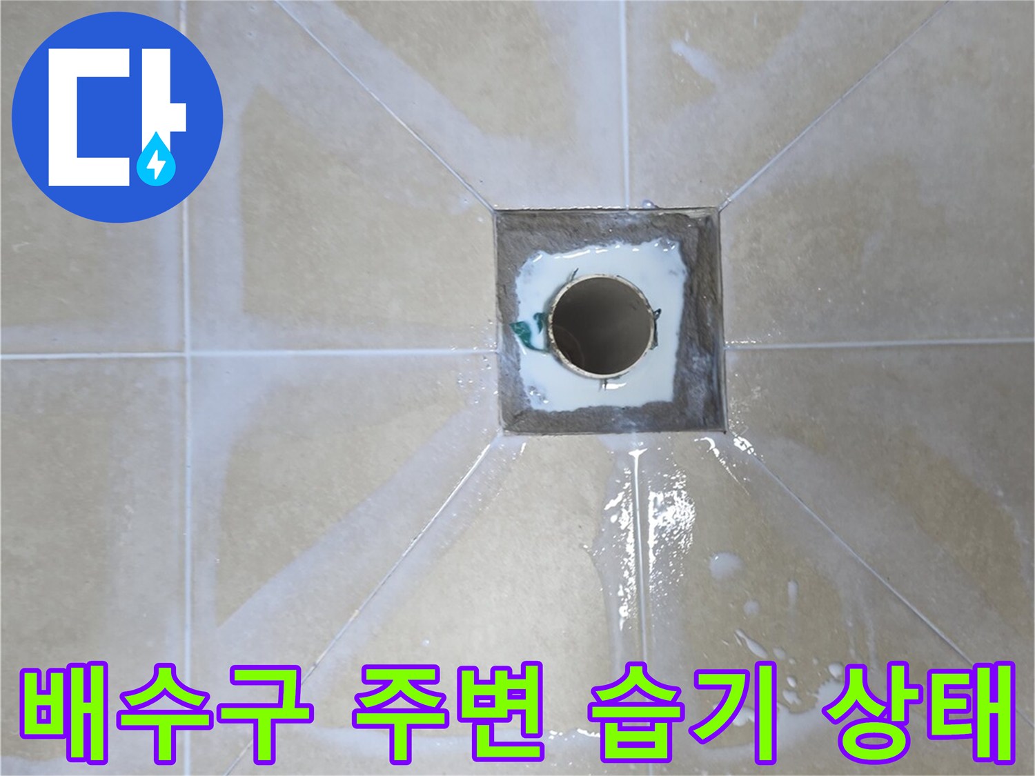 욕실-배수구-유가-주변-타일-틈새-및-습기-확인