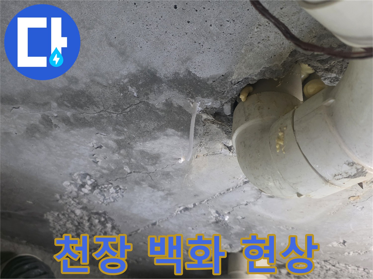 화장실-천장-콘크리트-슬래브의-백화현상-및-배관-주변-습기-상태