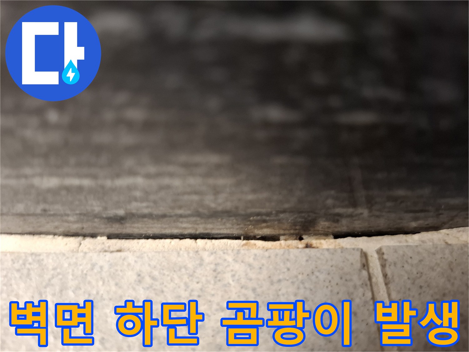 걸레받이-주변의-심한-곰팡이-오염-상태