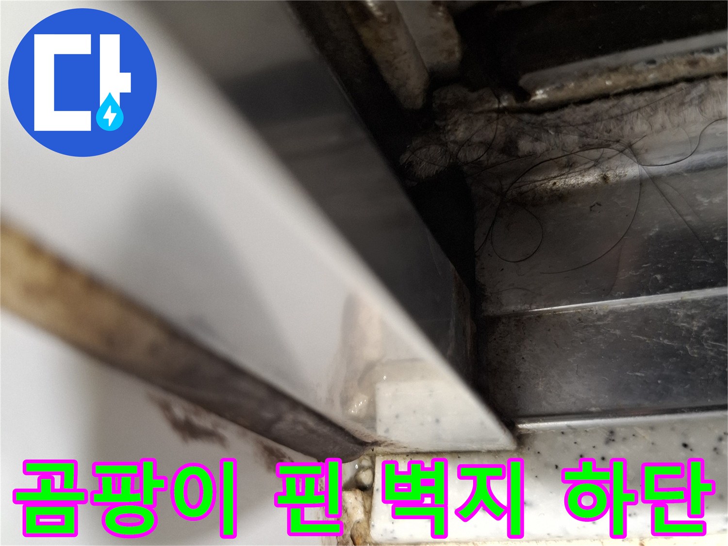 걸레받이-하단-벽체-부위의-곰팡이-오염