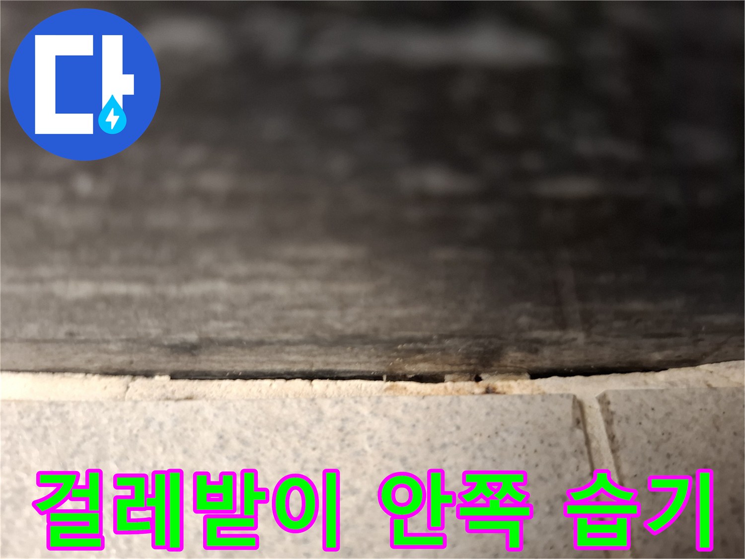 벽체 하단부의 물샘 흔적과 곰팡이 오염 상태