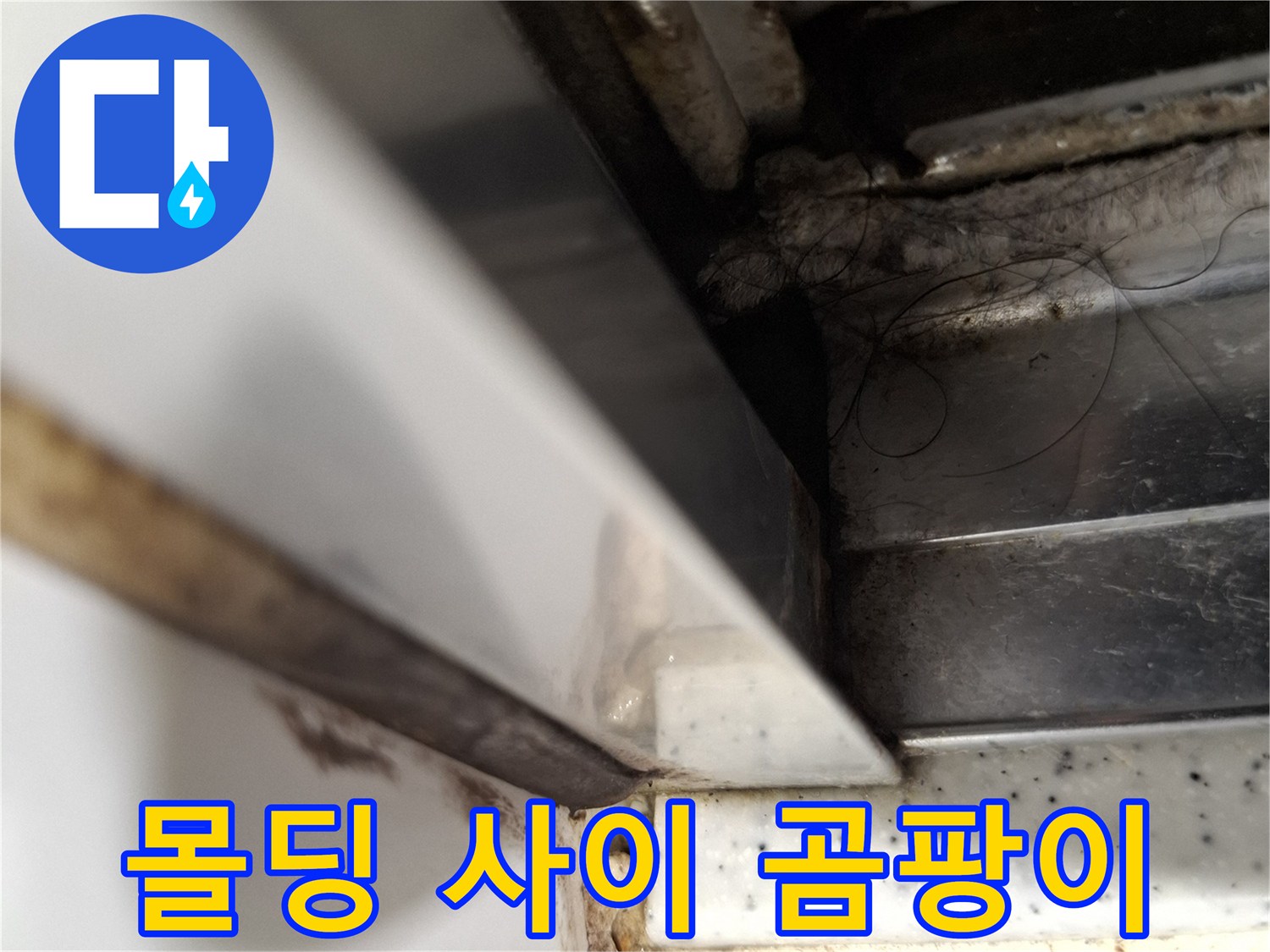 하단-걸레받이-주변의-검은색-곰팡이-및-오염