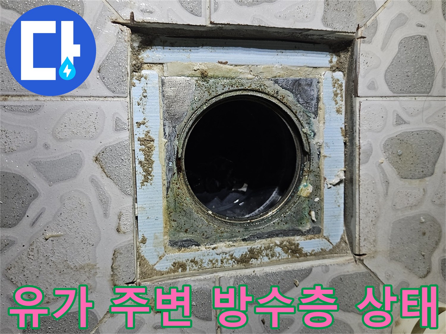 배수구 유가-주변 타일 틈새 및 오염 확인