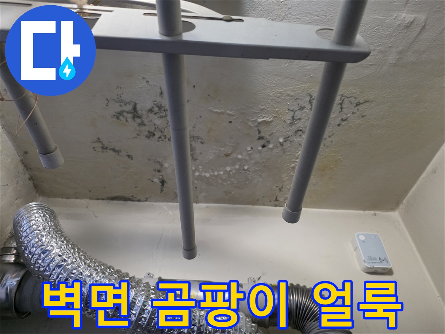 부천 오정구 현장-벽면 곰팡이 및 습기 흔적 상태