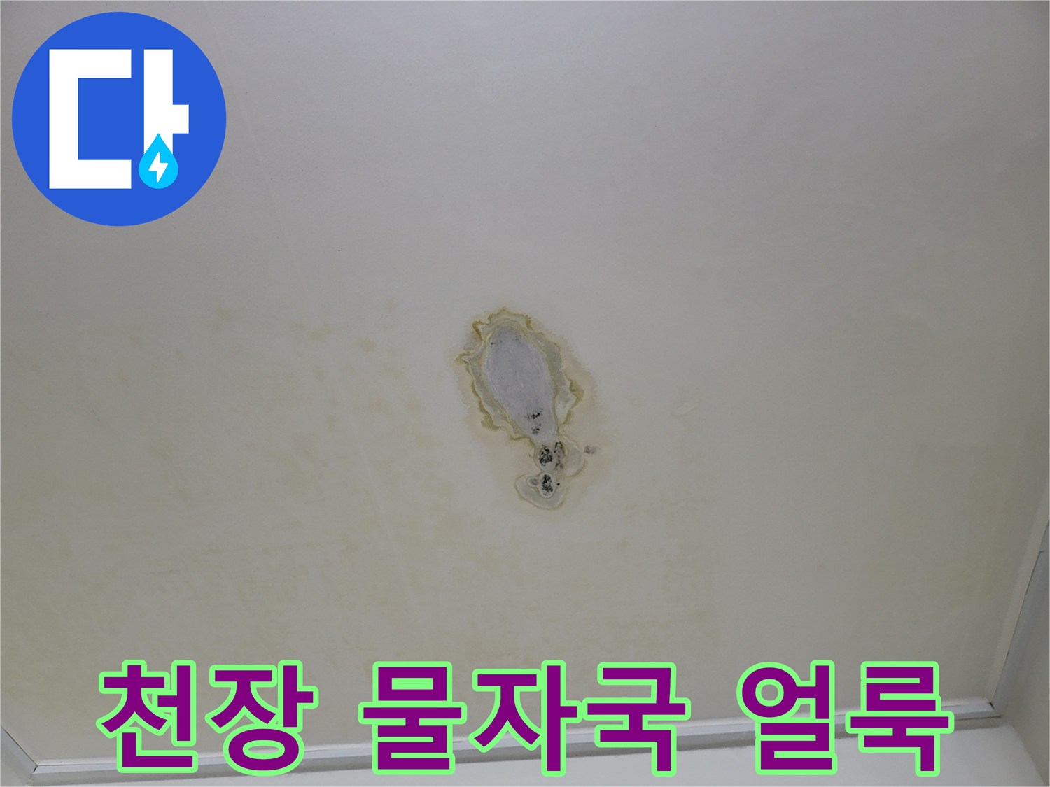 천장 중앙에 발생한 커다란 물자국과 페인트 변색 상태
