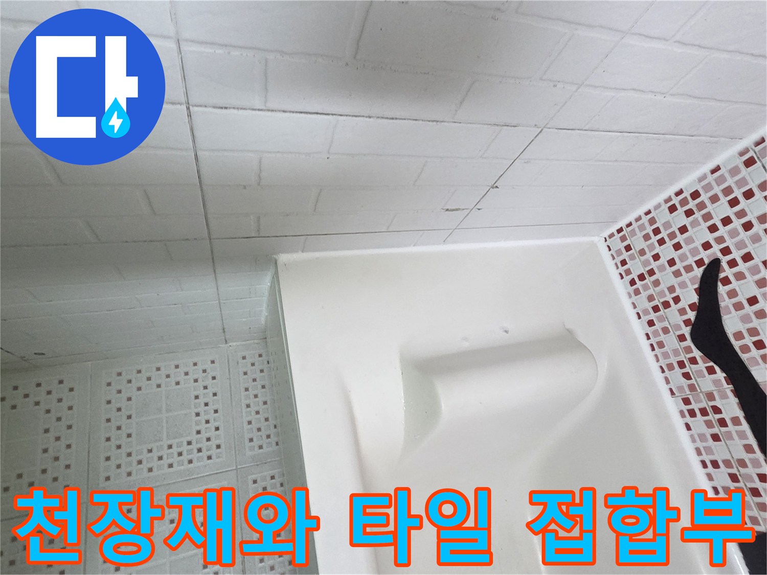 화장실 돔 천장과 모자이크 패턴 벽면의 연결 부위