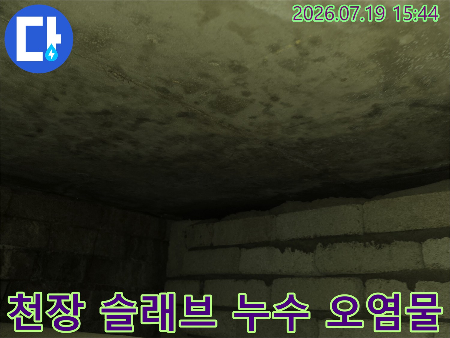 화장실 천장 콘크리트에 물이 스며들어 누런 얼룩과 습기가 생긴 모습