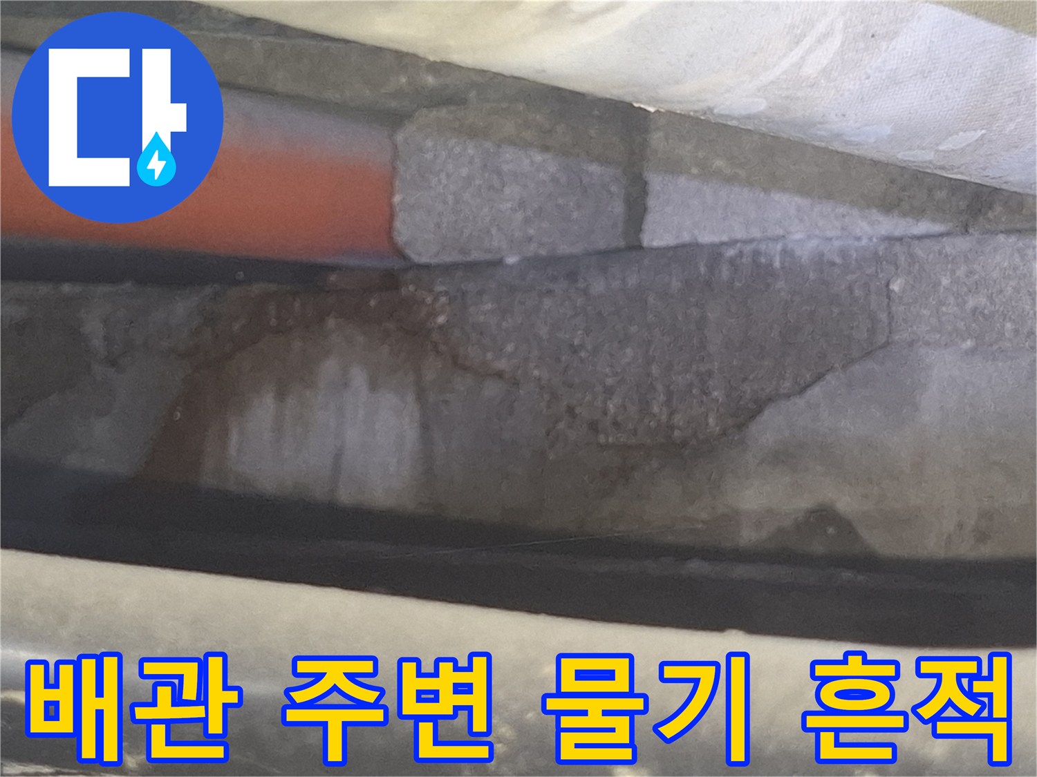 욕조-배수관-주변의-젖은-상태를-보여주는-사진
