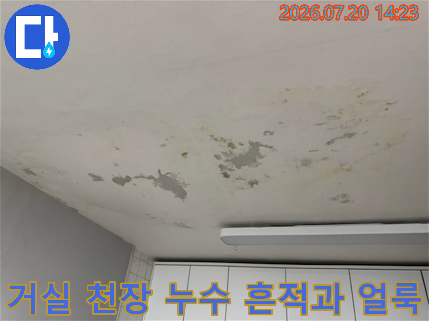 거실 천장에 발생한 광범위한 물자국과 도배지 박리 현상