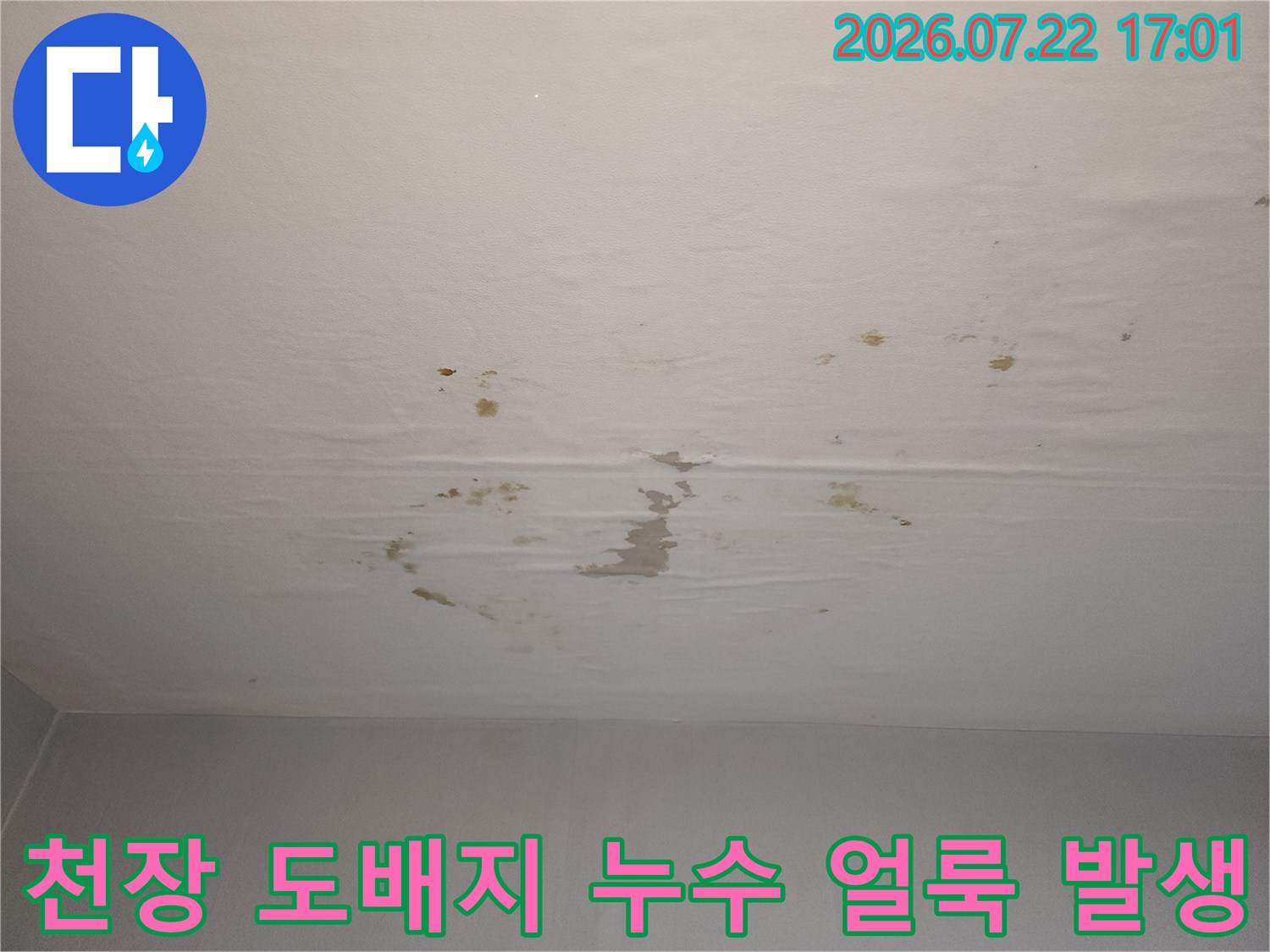 상부 배관 누수로 인해 변색되고 젖어있는 거실 천장 마감재