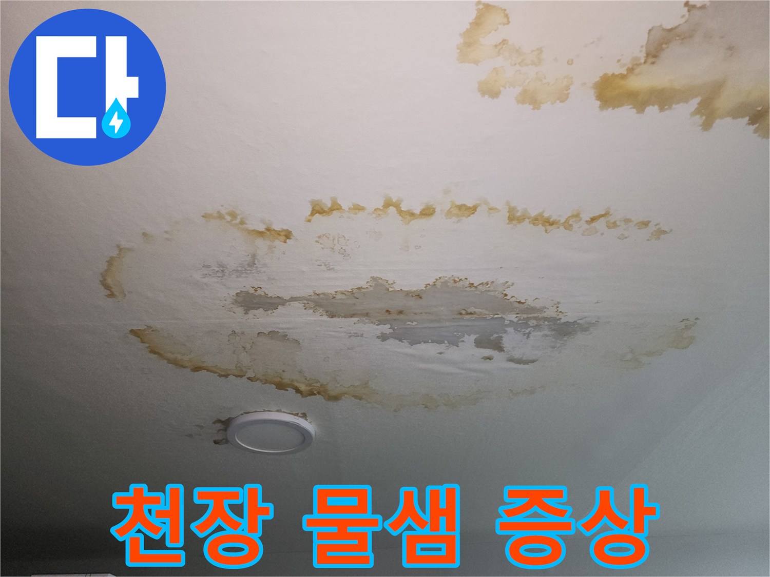 아파트-거실-천장-의-누수-발생-및-얼룩-현황