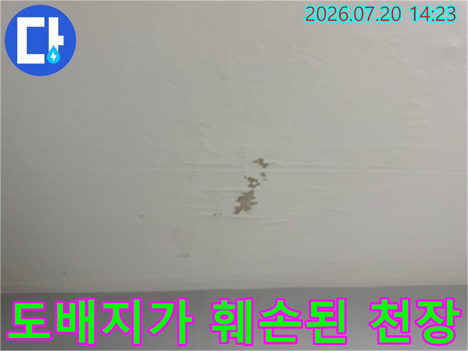 천장 도배가 들뜨고 얼룩진 누수 피해 구간을 촬영한 사진입니다.