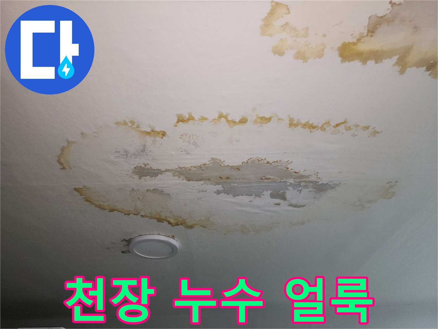 황색으로-변한-천장-도배지-및-물자국-상태