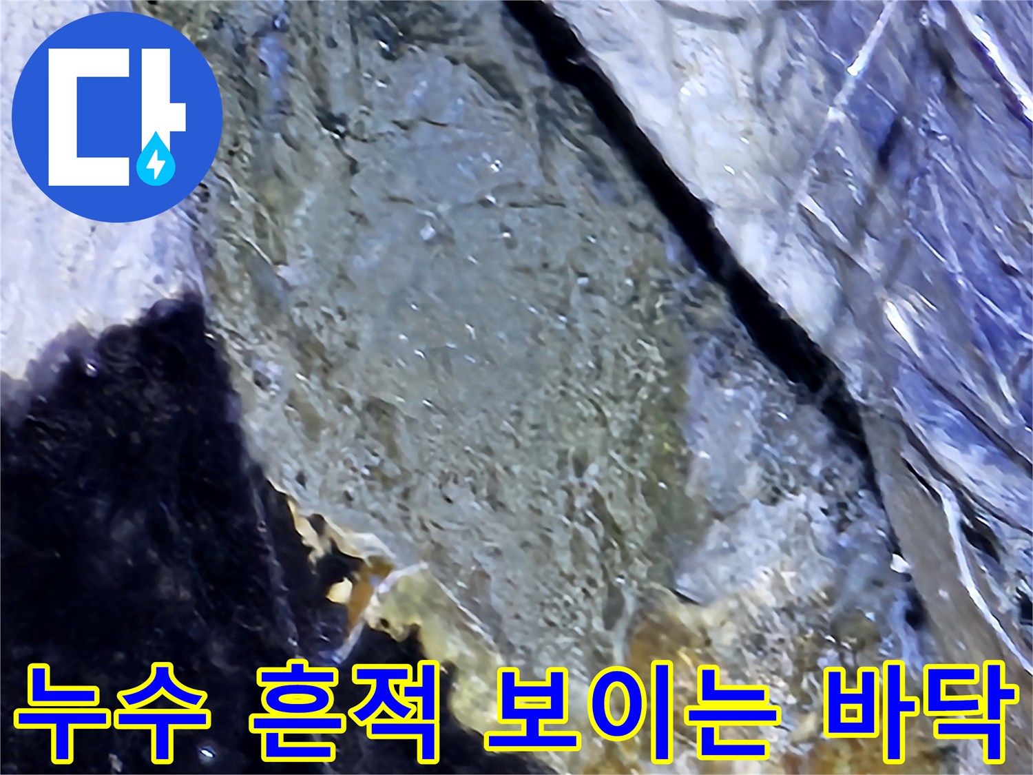 성남-분당-지하-층-누수-흔적-및-침수-상태