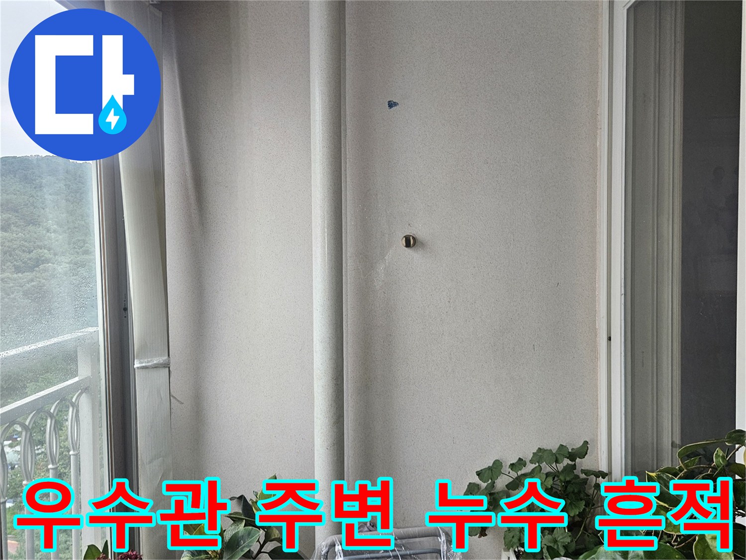 아랫집-베란다-천장-우수관-주변-젖음-상태