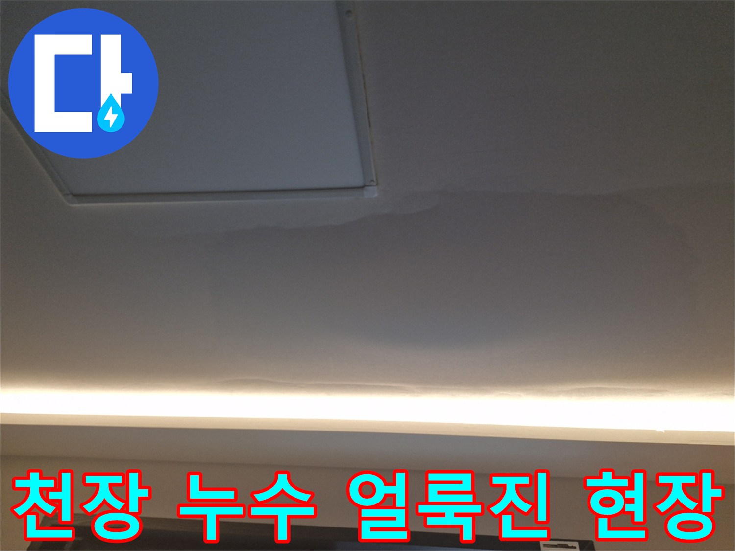 천장 조명 근처의 넓은 누수 자국 사진