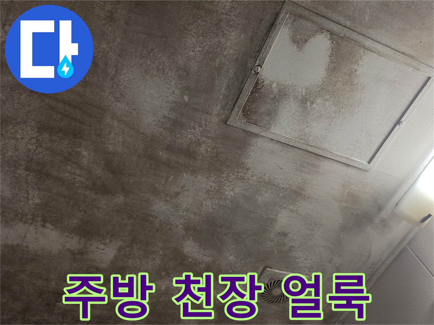 마포구 주방-천장 점검구 주변의 누수 흔적과 습기 상태