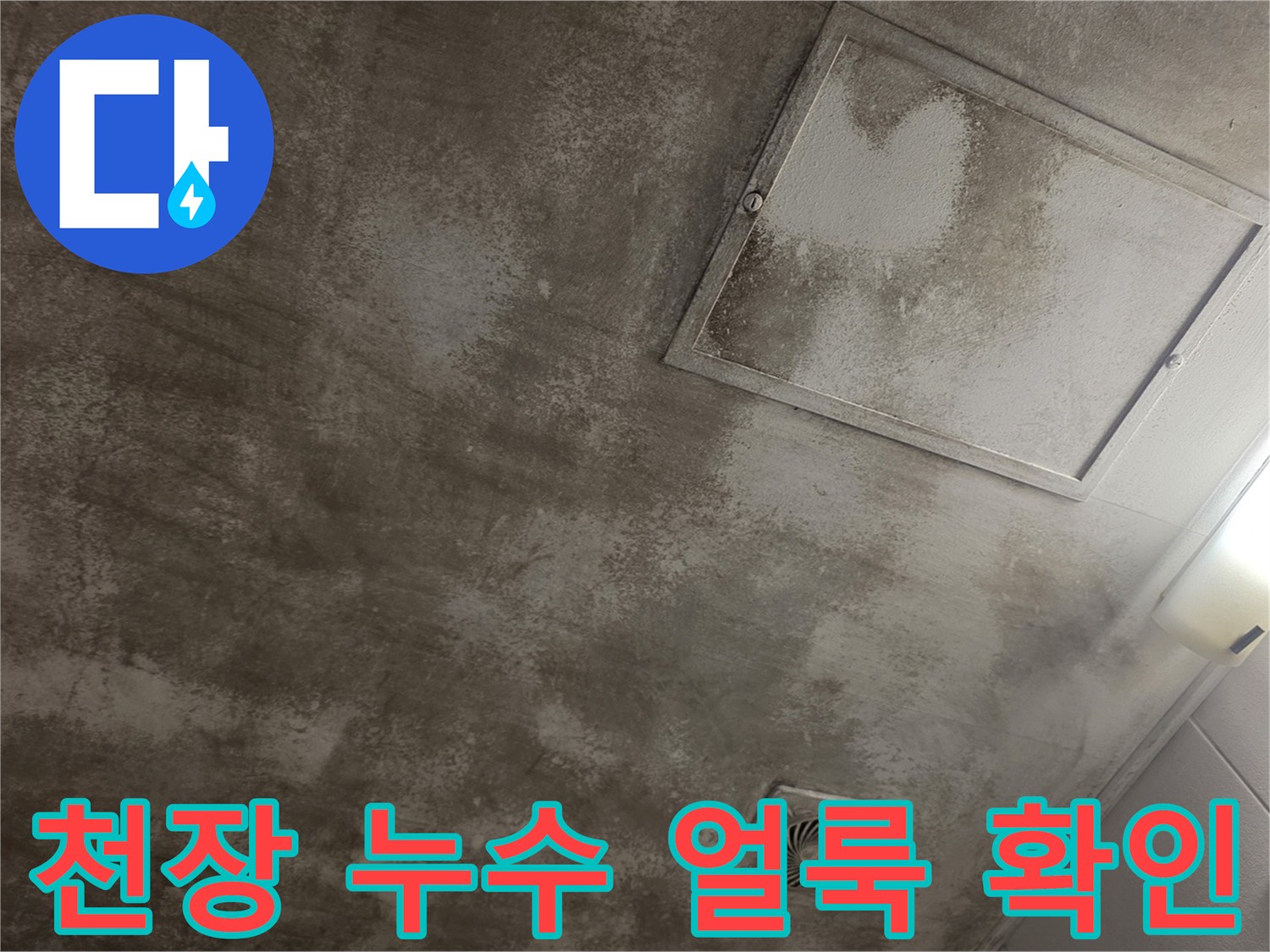 마포구 현장-천장 마감재-물샘 흔적 발견