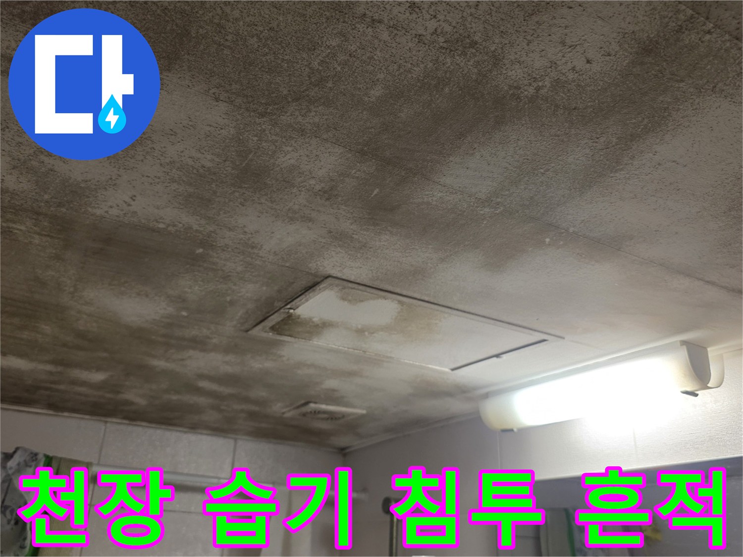천장-마감재-사이로-스며든-누수-흔적