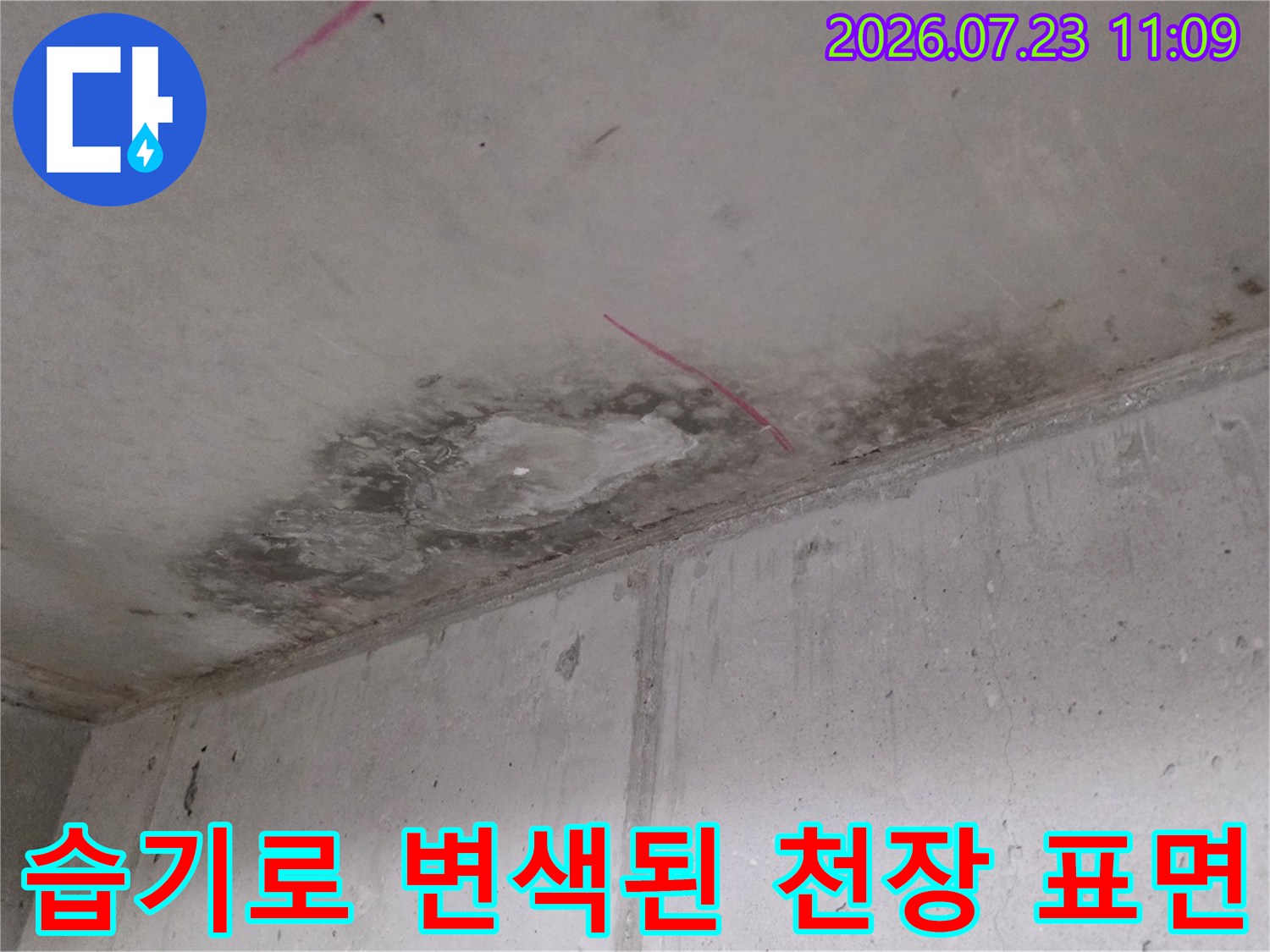 천장 슬라브 콘크리트에 발생한 누수 얼룩과 분홍색 표시선-현장 진단 사진