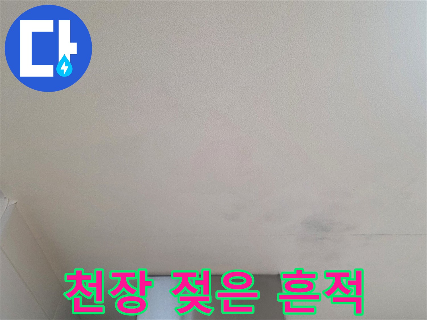 천장 표면에 나타난 광범위한 수분 침투 및 변색 자국
